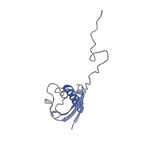 12574_7nsp_i_v1-0
Structure of ErmDL-Erythromycin-stalled 70S E. coli ribosomal complex with A and P-tRNA