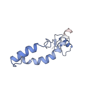 12574_7nsp_n_v1-0
Structure of ErmDL-Erythromycin-stalled 70S E. coli ribosomal complex with A and P-tRNA