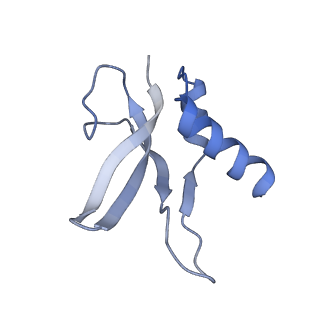 12574_7nsp_p_v1-0
Structure of ErmDL-Erythromycin-stalled 70S E. coli ribosomal complex with A and P-tRNA