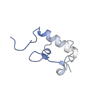 12574_7nsp_r_v1-0
Structure of ErmDL-Erythromycin-stalled 70S E. coli ribosomal complex with A and P-tRNA