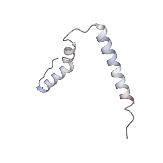12574_7nsp_u_v1-0
Structure of ErmDL-Erythromycin-stalled 70S E. coli ribosomal complex with A and P-tRNA