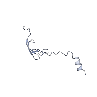 12575_7nsq_5_v1-1
Structure of ErmDL-Telithromycin-stalled 70S E. coli ribosomal complex with A and P-tRNA