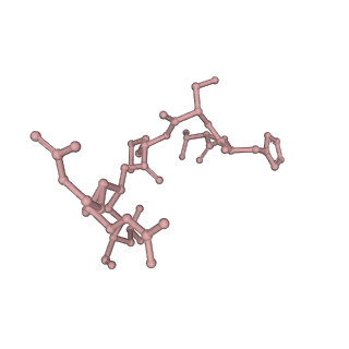 12575_7nsq_7_v1-1
Structure of ErmDL-Telithromycin-stalled 70S E. coli ribosomal complex with A and P-tRNA