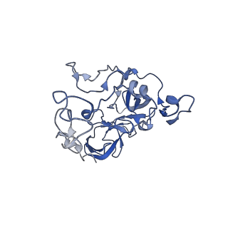 12575_7nsq_C_v1-1
Structure of ErmDL-Telithromycin-stalled 70S E. coli ribosomal complex with A and P-tRNA