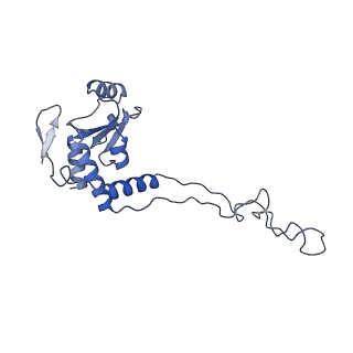 12575_7nsq_E_v1-1
Structure of ErmDL-Telithromycin-stalled 70S E. coli ribosomal complex with A and P-tRNA