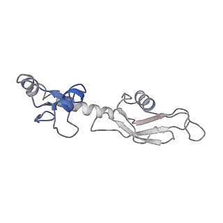 12575_7nsq_H_v1-1
Structure of ErmDL-Telithromycin-stalled 70S E. coli ribosomal complex with A and P-tRNA