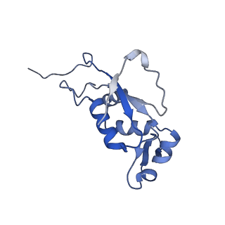 12575_7nsq_J_v1-1
Structure of ErmDL-Telithromycin-stalled 70S E. coli ribosomal complex with A and P-tRNA