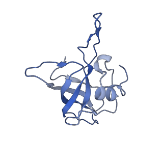 12575_7nsq_K_v1-1
Structure of ErmDL-Telithromycin-stalled 70S E. coli ribosomal complex with A and P-tRNA