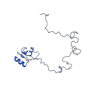 12575_7nsq_L_v1-1
Structure of ErmDL-Telithromycin-stalled 70S E. coli ribosomal complex with A and P-tRNA
