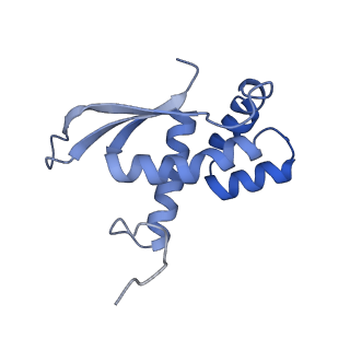 12575_7nsq_N_v1-1
Structure of ErmDL-Telithromycin-stalled 70S E. coli ribosomal complex with A and P-tRNA