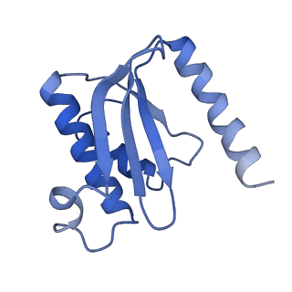 12575_7nsq_O_v1-1
Structure of ErmDL-Telithromycin-stalled 70S E. coli ribosomal complex with A and P-tRNA