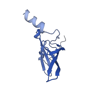 12575_7nsq_P_v1-1
Structure of ErmDL-Telithromycin-stalled 70S E. coli ribosomal complex with A and P-tRNA