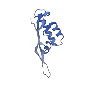 12575_7nsq_S_v1-1
Structure of ErmDL-Telithromycin-stalled 70S E. coli ribosomal complex with A and P-tRNA
