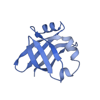 12575_7nsq_V_v1-1
Structure of ErmDL-Telithromycin-stalled 70S E. coli ribosomal complex with A and P-tRNA