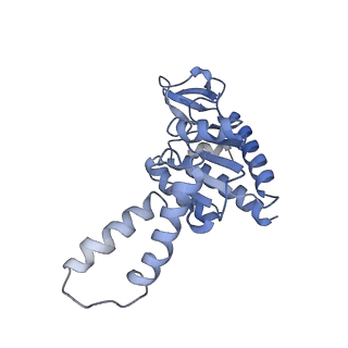 12575_7nsq_b_v1-1
Structure of ErmDL-Telithromycin-stalled 70S E. coli ribosomal complex with A and P-tRNA