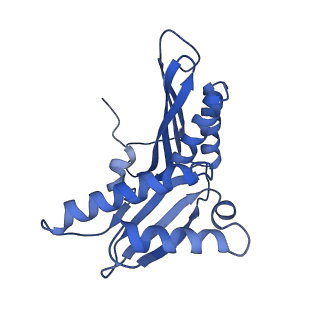 12575_7nsq_c_v1-1
Structure of ErmDL-Telithromycin-stalled 70S E. coli ribosomal complex with A and P-tRNA