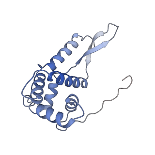 12575_7nsq_g_v1-1
Structure of ErmDL-Telithromycin-stalled 70S E. coli ribosomal complex with A and P-tRNA