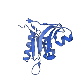 12575_7nsq_h_v1-1
Structure of ErmDL-Telithromycin-stalled 70S E. coli ribosomal complex with A and P-tRNA