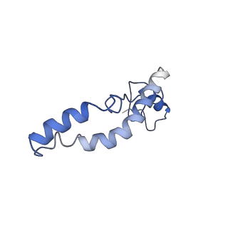 12575_7nsq_n_v1-1
Structure of ErmDL-Telithromycin-stalled 70S E. coli ribosomal complex with A and P-tRNA