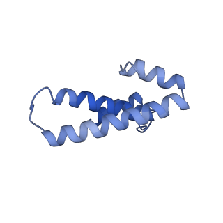12575_7nsq_o_v1-1
Structure of ErmDL-Telithromycin-stalled 70S E. coli ribosomal complex with A and P-tRNA