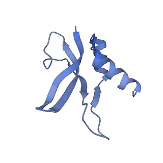12575_7nsq_p_v1-1
Structure of ErmDL-Telithromycin-stalled 70S E. coli ribosomal complex with A and P-tRNA