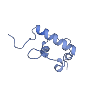 12575_7nsq_r_v1-1
Structure of ErmDL-Telithromycin-stalled 70S E. coli ribosomal complex with A and P-tRNA