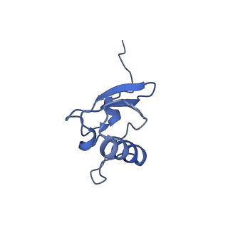 12575_7nsq_s_v1-1
Structure of ErmDL-Telithromycin-stalled 70S E. coli ribosomal complex with A and P-tRNA
