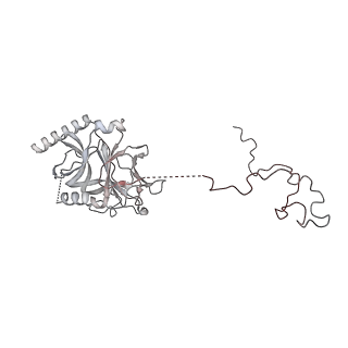 12576_7nst_D_v1-3
ColicinE9 partial translocation complex
