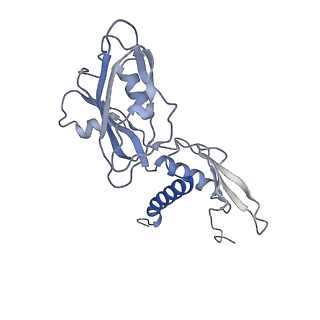 3695_5nsr_A_v1-3
Cryo-EM structure of RNA polymerase-sigma54 holo enzyme with promoter DNA closed complex
