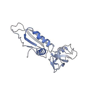 3695_5nsr_B_v1-3
Cryo-EM structure of RNA polymerase-sigma54 holo enzyme with promoter DNA closed complex