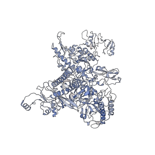 3695_5nsr_C_v1-3
Cryo-EM structure of RNA polymerase-sigma54 holo enzyme with promoter DNA closed complex