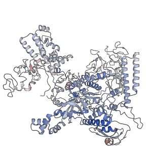 3695_5nsr_D_v1-3
Cryo-EM structure of RNA polymerase-sigma54 holo enzyme with promoter DNA closed complex