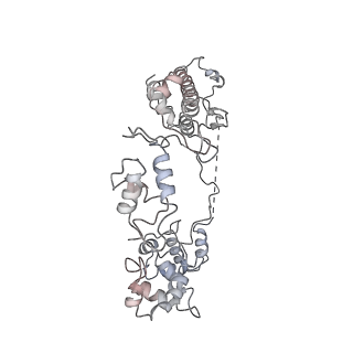 3695_5nsr_M_v1-3
Cryo-EM structure of RNA polymerase-sigma54 holo enzyme with promoter DNA closed complex