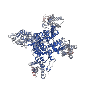 0501_6nt4_A_v2-1
Cryo-EM structure of a human-cockroach hybrid Nav channel bound to alpha-scorpion toxin AaH2.