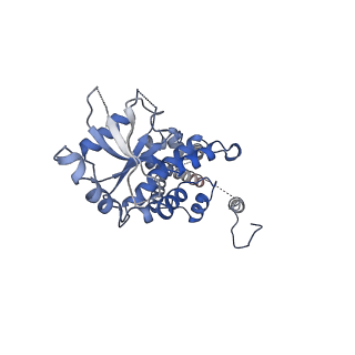 0502_6nt5_A_v1-4
Cryo-EM structure of full-length human STING in the apo state