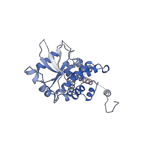 0502_6nt5_A_v1-5
Cryo-EM structure of full-length human STING in the apo state