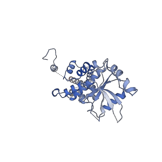 0502_6nt5_B_v1-4
Cryo-EM structure of full-length human STING in the apo state