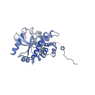 0503_6nt6_A_v1-4
Cryo-EM structure of full-length chicken STING in the apo state