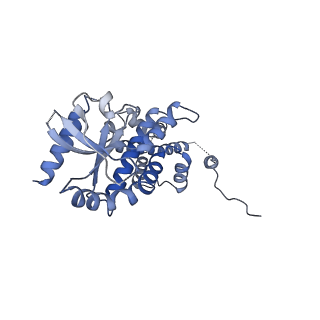 0503_6nt6_A_v1-5
Cryo-EM structure of full-length chicken STING in the apo state