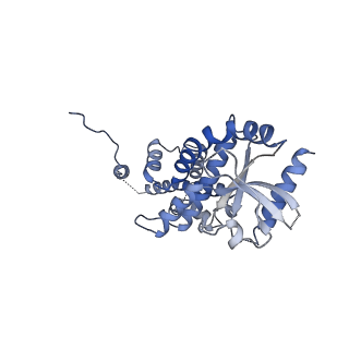 0503_6nt6_B_v1-4
Cryo-EM structure of full-length chicken STING in the apo state