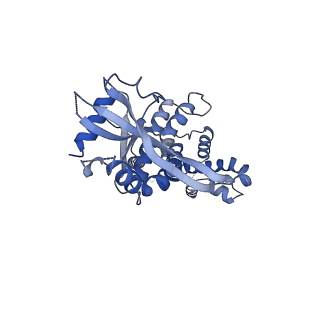0504_6nt7_A_v1-4
Cryo-EM structure of full-length chicken STING in the cGAMP-bound dimeric state