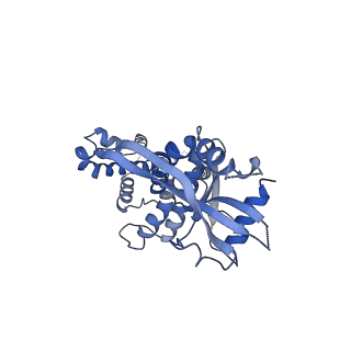 0504_6nt7_B_v1-4
Cryo-EM structure of full-length chicken STING in the cGAMP-bound dimeric state