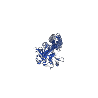 0506_6nt9_A_v1-4
Cryo-EM structure of the complex between human TBK1 and chicken STING