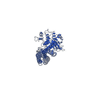 0506_6nt9_B_v1-4
Cryo-EM structure of the complex between human TBK1 and chicken STING
