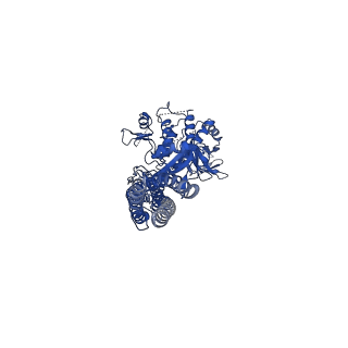 0506_6nt9_B_v1-5
Cryo-EM structure of the complex between human TBK1 and chicken STING