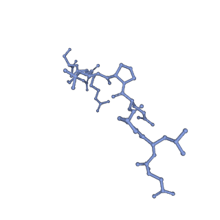 0506_6nt9_C_v1-5
Cryo-EM structure of the complex between human TBK1 and chicken STING