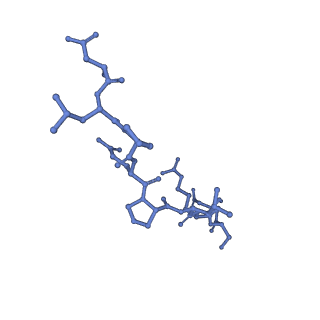 0506_6nt9_D_v1-5
Cryo-EM structure of the complex between human TBK1 and chicken STING