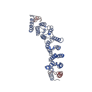 0510_6nts_B_v1-1
Protein Phosphatase 2A (Aalpha-B56alpha-Calpha) holoenzyme in complex with a Small Molecule Activator of PP2A (SMAP)