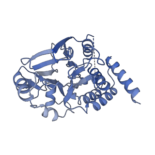 0510_6nts_C_v1-1
Protein Phosphatase 2A (Aalpha-B56alpha-Calpha) holoenzyme in complex with a Small Molecule Activator of PP2A (SMAP)
