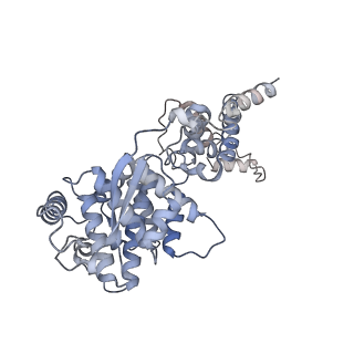 12581_7nt5_A_v1-1
CryoEM structure of the Nipah virus nucleocapsid single helical turn assembly
